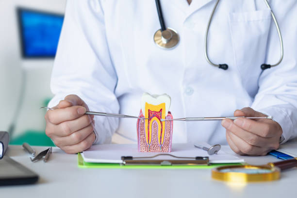 Best Emergency Dentist for Lost Fillings or Crowns in West, TX